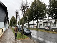 Bild: 50 B&auml;ume m&uuml;ssen in Leinefelde und Worbis bis Ende Februar fallen