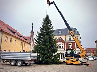 Bild: Der erste Weihnachtsbaum steht