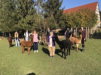Bild: Studierende der Hochschule Nordhausen erleben die beruhigende Wirkung einer Alpaka-Wanderung auf der Alpaka-Farm Munkelt in Hohenm&ouml;lsen