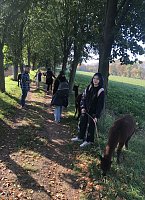 Bild: Studierende der Hochschule Nordhausen erleben die beruhigende Wirkung einer Alpaka-Wanderung auf der Alpaka-Farm Munkelt in Hohenm&ouml;lsen