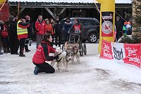 Bild: Hundeschlittenrennen im Harz