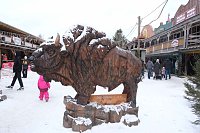Bild: Hundeschlittenrennen im Harz