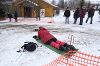 Bild: Hundeschlittenrennen im Harz