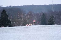Bild: Hundeschlittenrennen im Harz