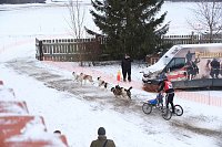 Bild: Hundeschlittenrennen im Harz