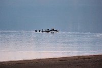 Bild: Besuch am Stausee