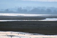 Bild: Besuch am Stausee