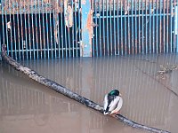 Bild: Besuch am Stausee