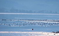 Bild: Besuch am Stausee