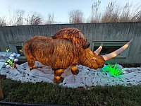 Bild: Magische Lichterwelten in Halle
