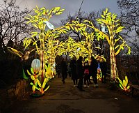 Bild: Magische Lichterwelten in Halle