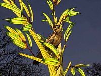 Bild: Magische Lichterwelten in Halle