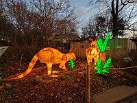 Bild: Magische Lichterwelten in Halle