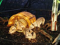 Bild: Magische Lichterwelten in Halle