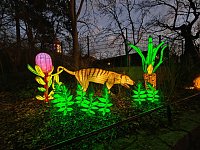 Bild: Magische Lichterwelten in Halle