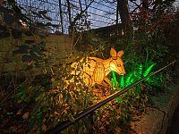 Bild: Magische Lichterwelten in Halle