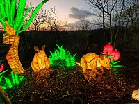 Bild: Magische Lichterwelten in Halle
