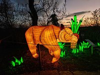 Bild: Magische Lichterwelten in Halle