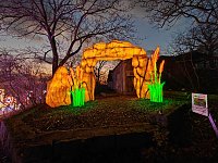 Bild: Magische Lichterwelten in Halle
