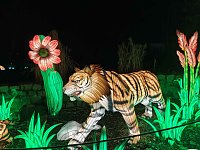 Bild: Magische Lichterwelten in Halle