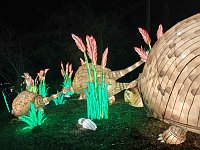 Bild: Magische Lichterwelten in Halle