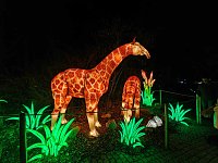Bild: Magische Lichterwelten in Halle
