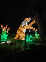 Bild: Magische Lichterwelten in Halle