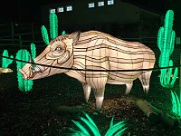 Bild: Magische Lichterwelten in Halle