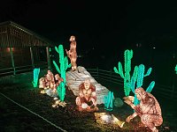 Bild: Magische Lichterwelten in Halle