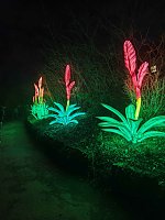 Bild: Magische Lichterwelten in Halle