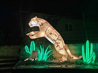 Bild: Magische Lichterwelten in Halle