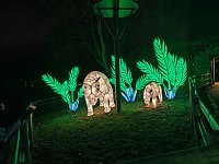 Bild: Magische Lichterwelten in Halle