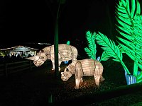 Bild: Magische Lichterwelten in Halle