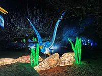 Bild: Magische Lichterwelten in Halle