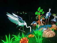 Bild: Magische Lichterwelten in Halle