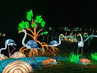 Bild: Magische Lichterwelten in Halle