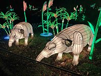 Bild: Magische Lichterwelten in Halle