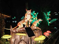 Bild: Magische Lichterwelten in Halle