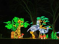 Bild: Magische Lichterwelten in Halle