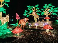 Bild: Magische Lichterwelten in Halle