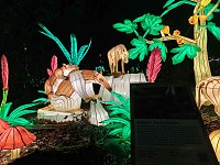 Bild: Magische Lichterwelten in Halle