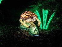 Bild: Magische Lichterwelten in Halle
