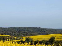 Bild: Gelbe Fr&uuml;hlingsstimmung