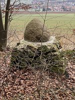 Bild: Wandergruppe im April