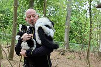 Bild: Besuch im Affenpark in Strau&szlig;berg (Th&uuml;ringen)