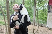 Bild: Besuch im Affenpark in Strau&szlig;berg (Th&uuml;ringen)