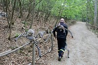 Bild: Besuch im Affenpark in Strau&szlig;berg (Th&uuml;ringen)