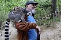 Bild: Besuch im Affenpark in Strau&szlig;berg (Th&uuml;ringen)