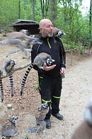 Bild: Besuch im Affenpark in Strau&szlig;berg (Th&uuml;ringen)