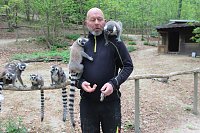 Bild: Besuch im Affenpark in Strau&szlig;berg (Th&uuml;ringen)